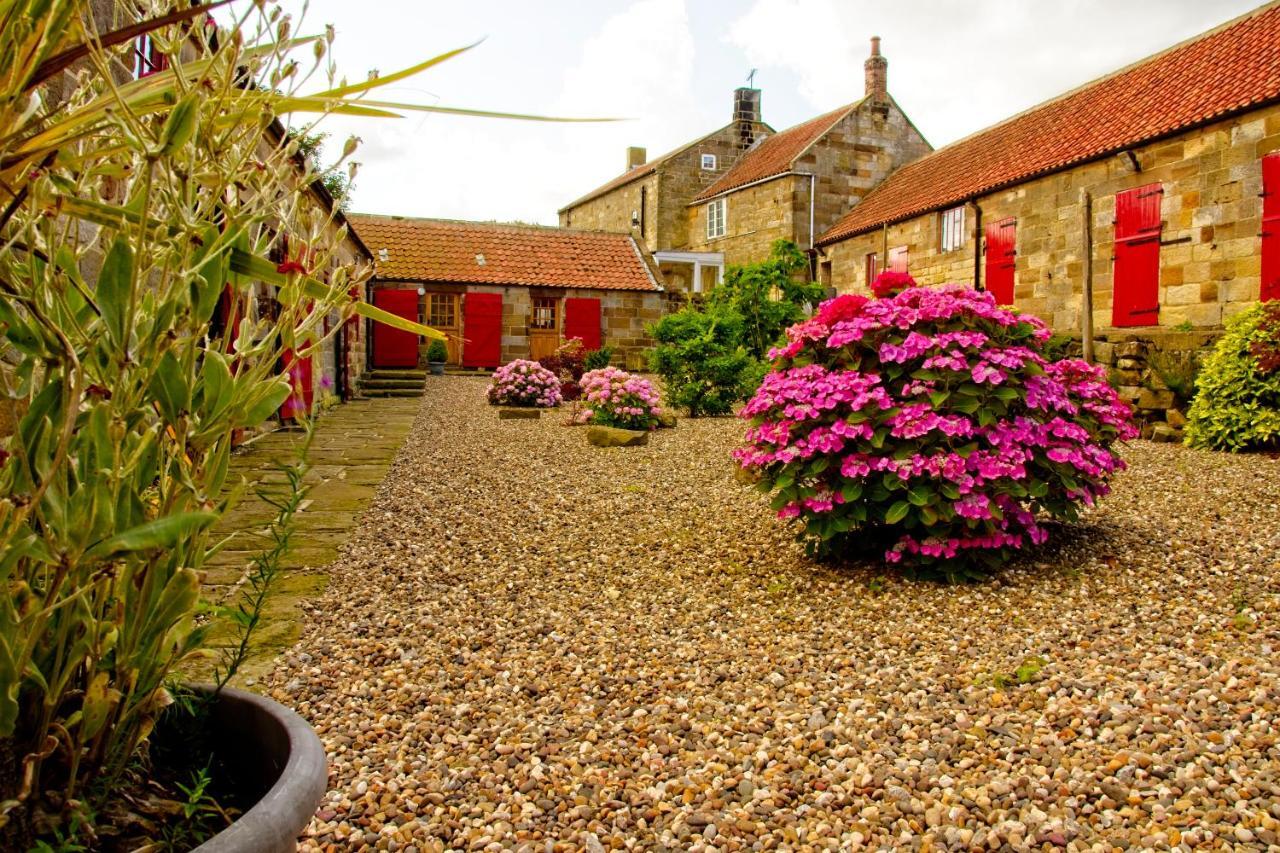 Spangle Cottage, Borrowby Farm Cottages Staithes Eksteriør bilde