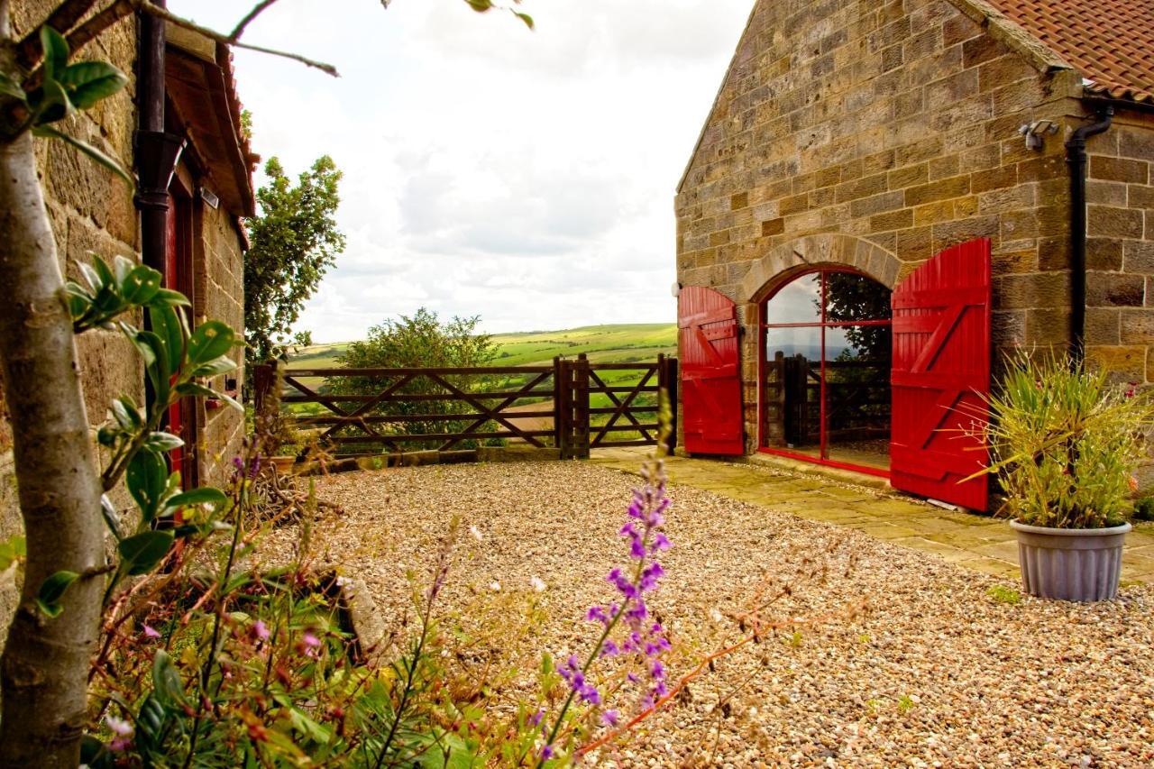 Spangle Cottage, Borrowby Farm Cottages Staithes Eksteriør bilde