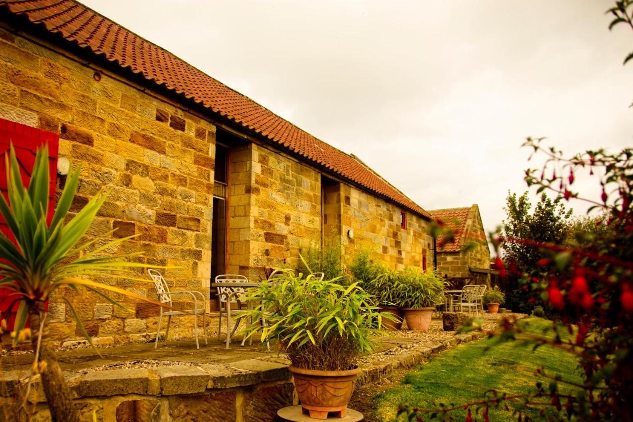 Spangle Cottage, Borrowby Farm Cottages Staithes Eksteriør bilde